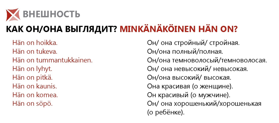 Рисунок1.png